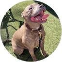 MikeYOU profile picture